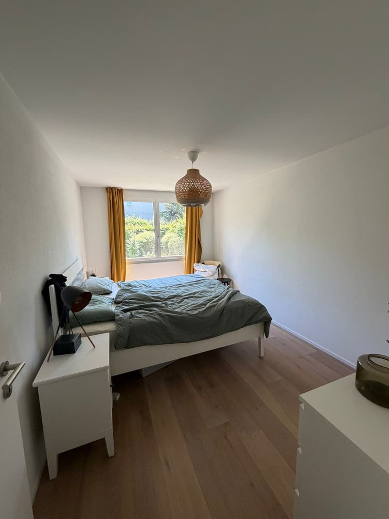Cerchi un comfort abitativo di prima classe? (6)