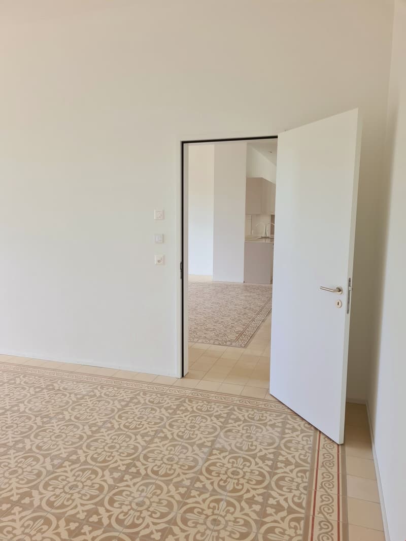 Propriété unique extravagante avec carreaux de sol marocains (7)
