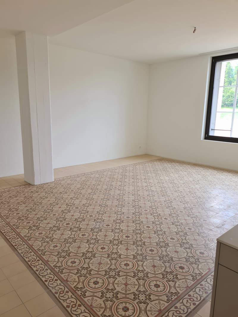 Propriété unique extravagante avec carreaux de sol marocains (3)
