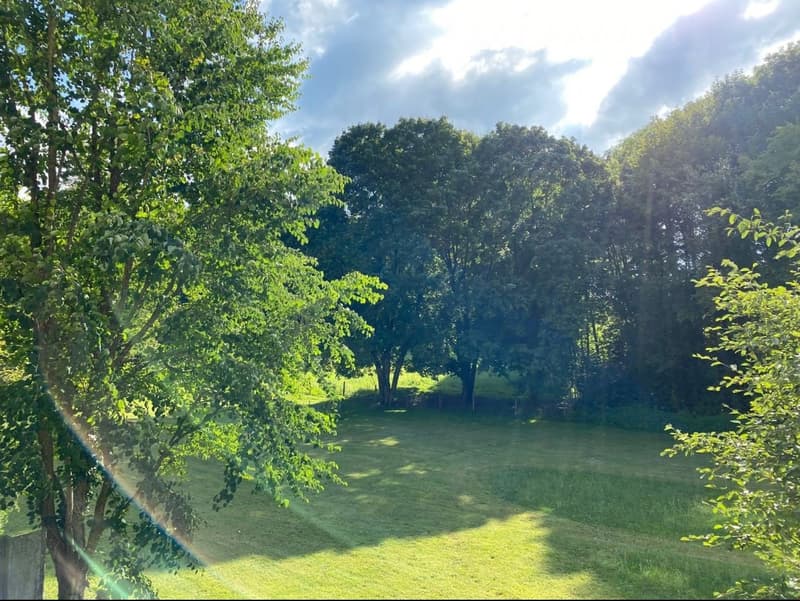4.5-Zimmerwohnung mit Ausblick ins Grüne (12)