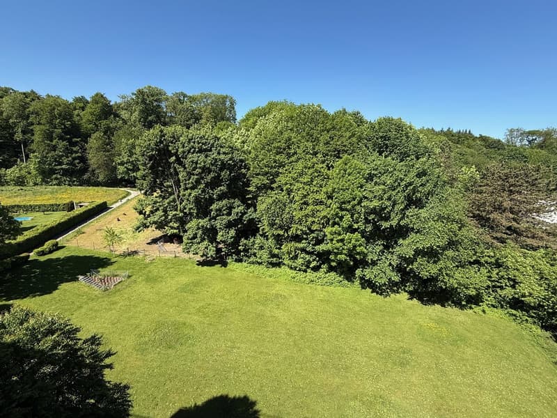 4.5-Zimmerwohnung mit Ausblick ins Grüne (14)