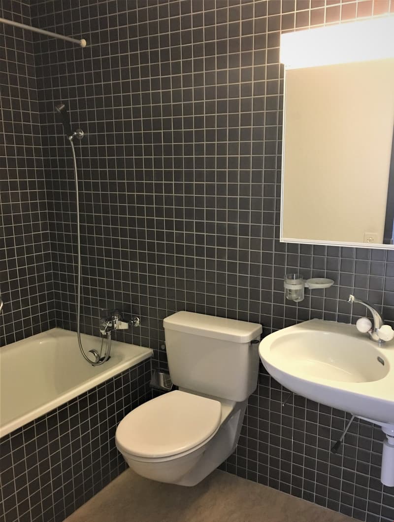 Cozy 1.5-room apartment - retreat with privacy (7)