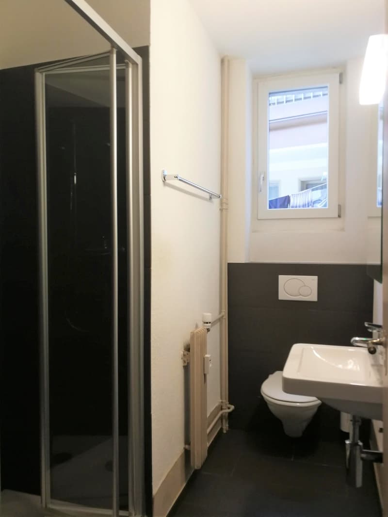 Sanierte Stadtwohnung im Herzen von Thun (4)