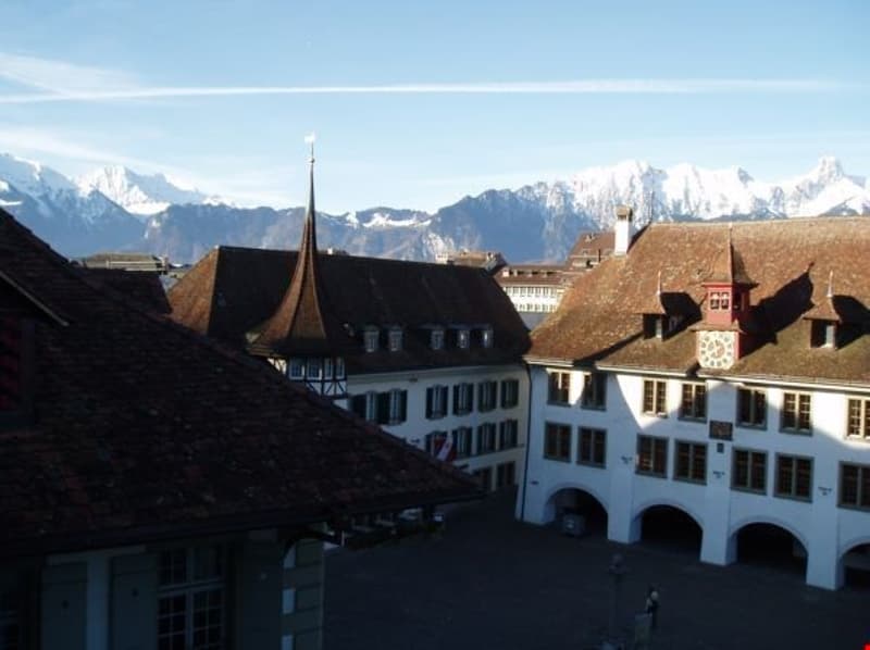 Neues Heim mit eigenem Schlossgarten gewünscht? (11)