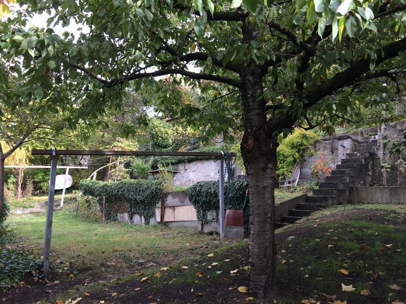 Neues Heim mit eigenem Schlossgarten gewünscht? (15)