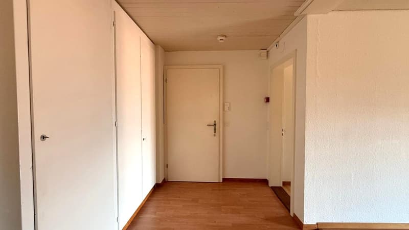 Neues Heim mit eigenem Schlossgarten gewünscht? (4)