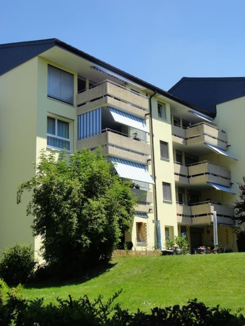 Enjoy the view of the green surroundings (1)