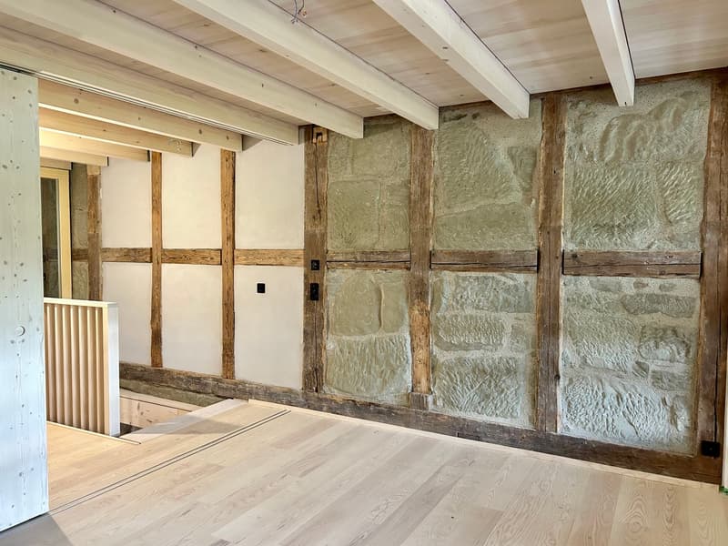 Bijou à deux étages dans une ferme magnifiquement rénovée (13)