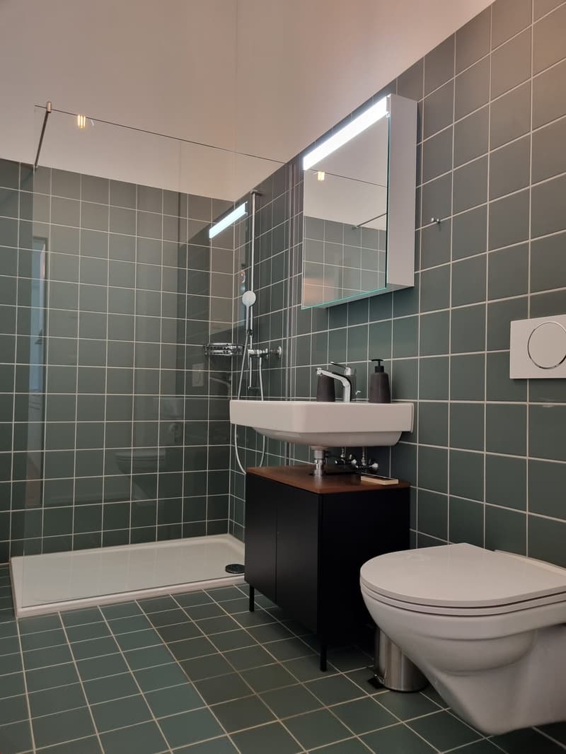 Moderne, stilvoll möblierte 4.5-Zimmerwohnung mit hochwertiger Ausstattung (12)
