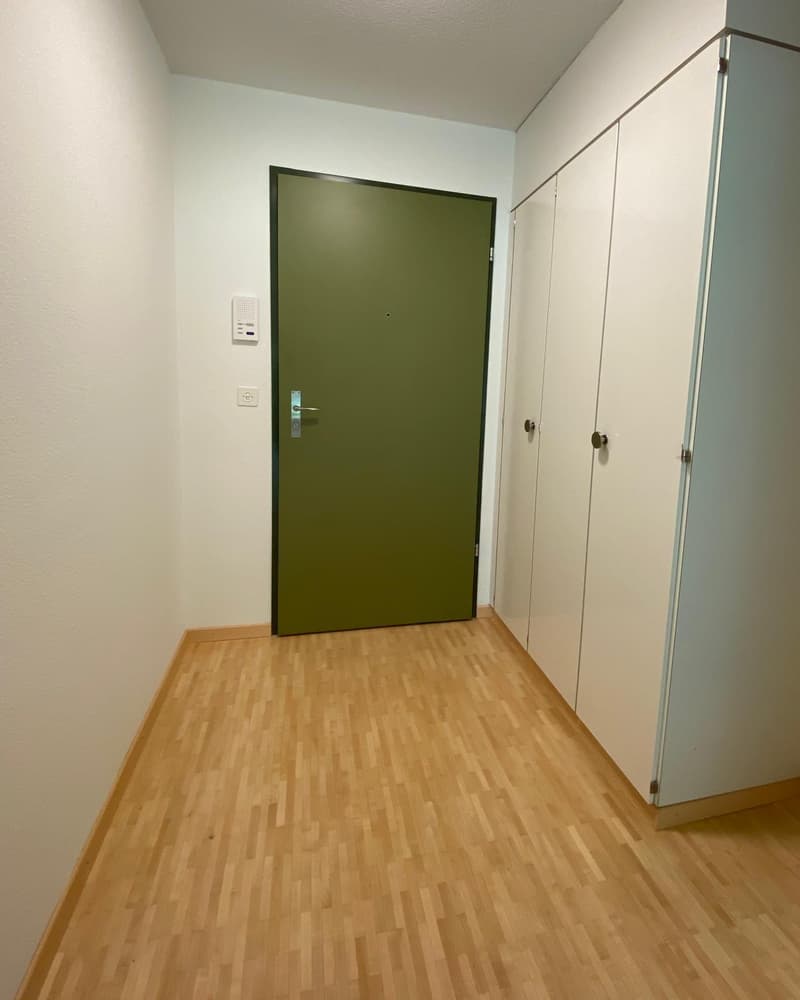 Charmante 1-Zimmerwohnung mit sonnigem Balkon (5)