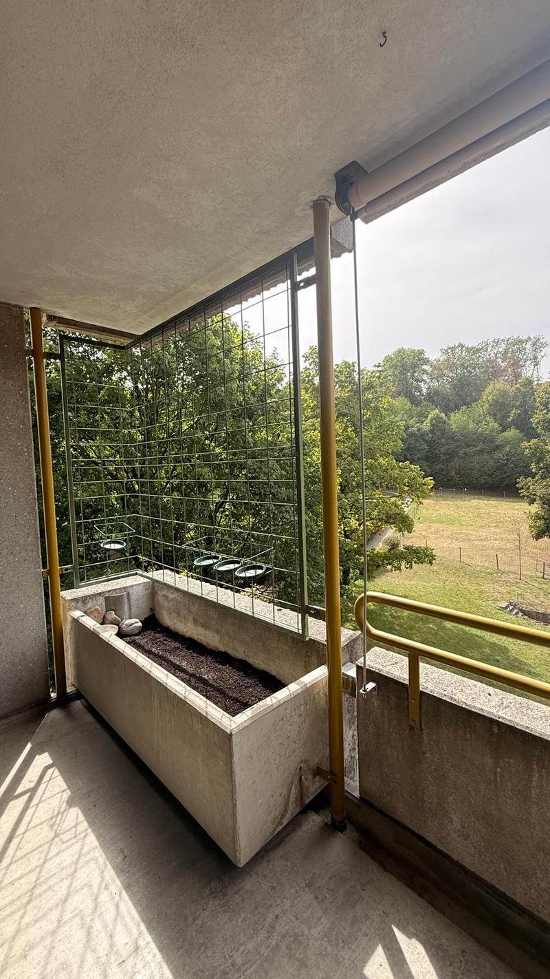 Charmante 1-Zimmerwohnung mit sonnigem Balkon (9)