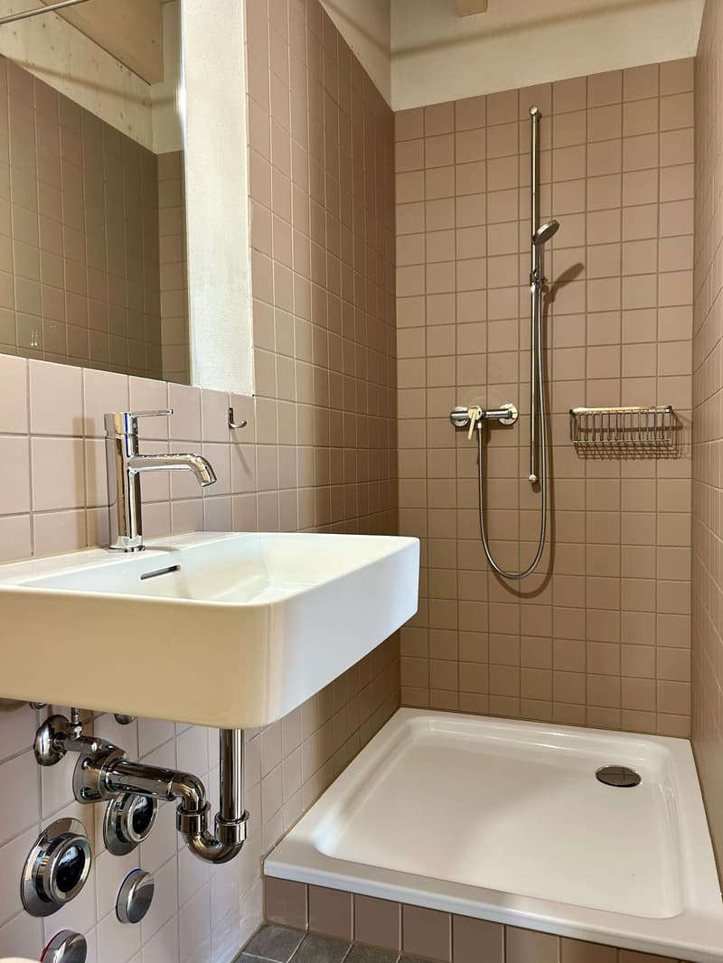 2½-Zimmer-Attika-Maisonette – Historisches Ambiente trifft modernen Wohnkomfort (6)
