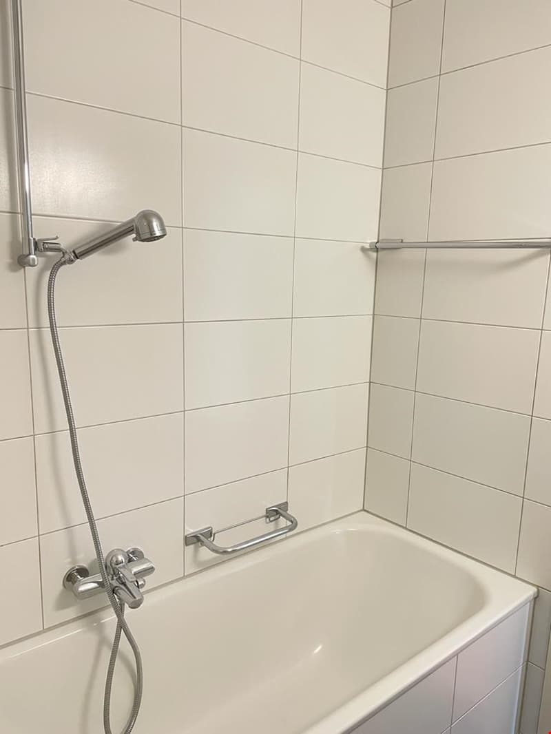 Charmante 3.5-Zimmerwohnung sucht Sie! (7)
