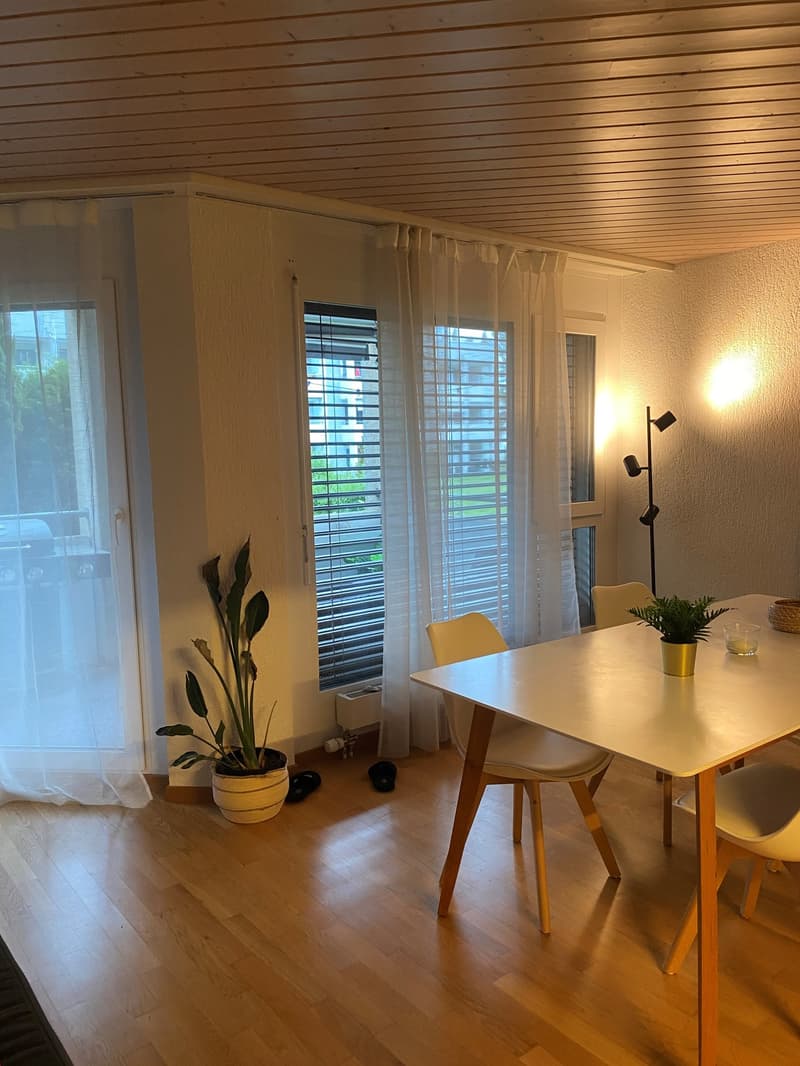 Grosszügige 2-Zimmerwohnung in ruhiger Parkanlage (4)