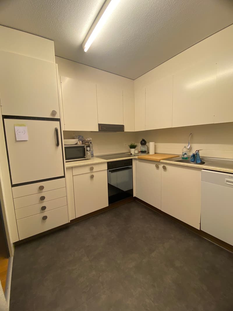 Grosszügige 2-Zimmerwohnung in ruhiger Parkanlage (7)