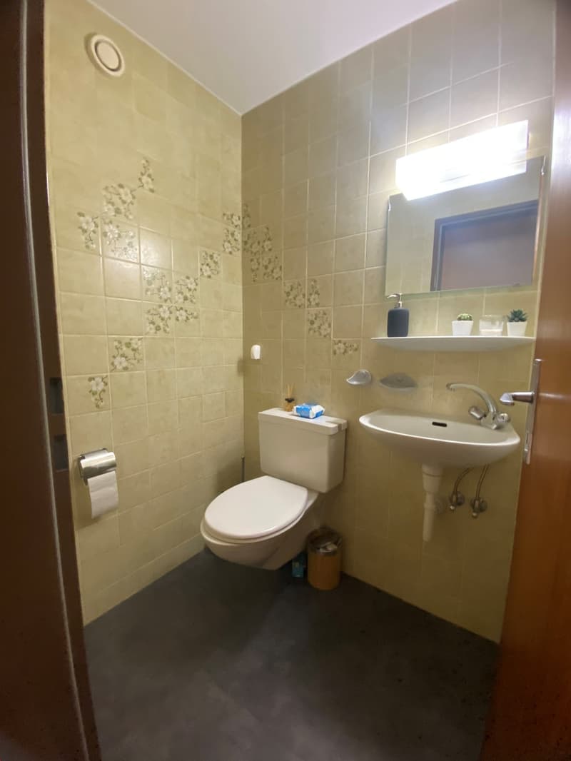 Grosszügige 2-Zimmerwohnung in ruhiger Parkanlage (8)