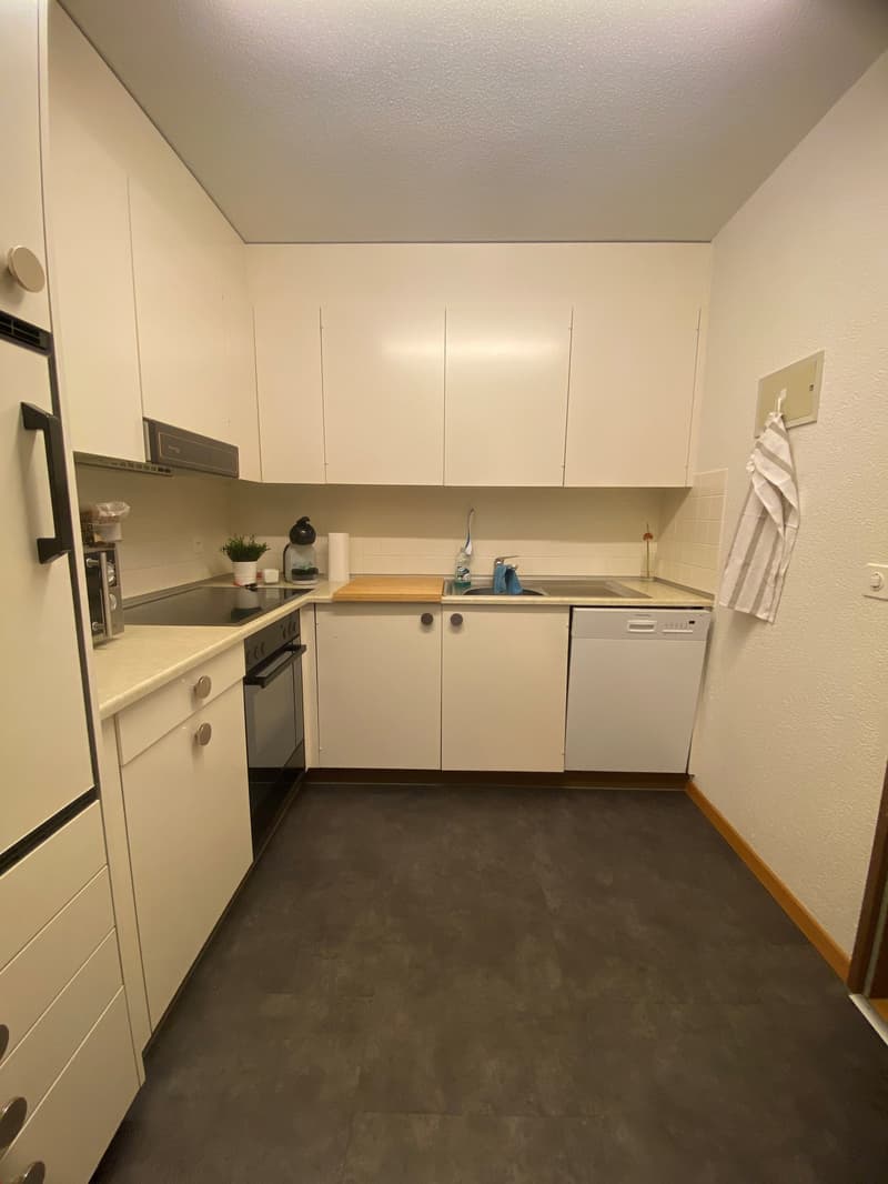 Grosszügige 2-Zimmerwohnung in ruhiger Parkanlage (6)