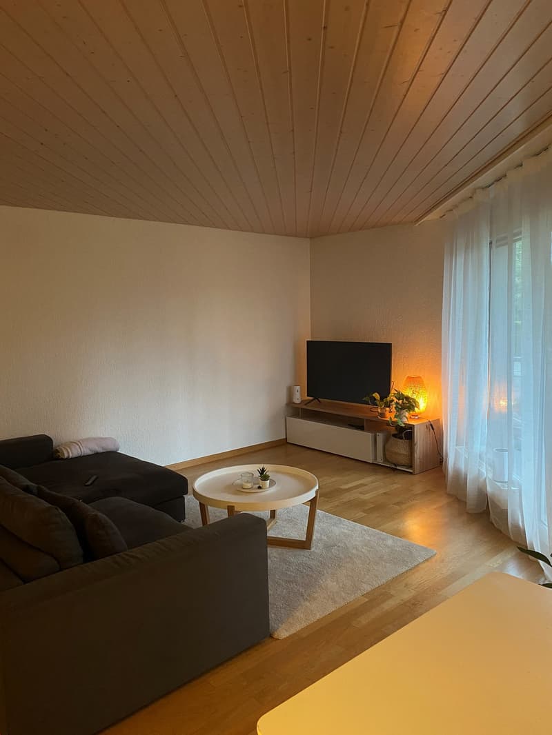 Grosszügige 2-Zimmerwohnung in ruhiger Parkanlage (3)