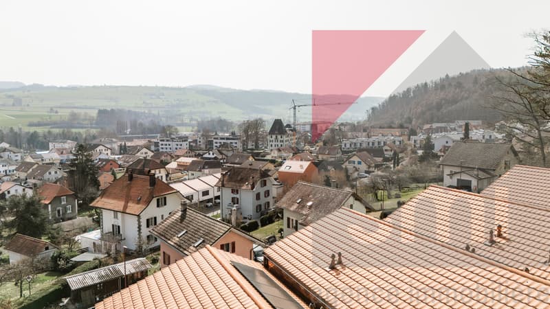 Villa nuova di 5 locali con uno spazio giorno di 50m2! (13)
