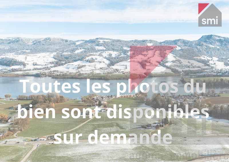 Attico nuovo a Gumefens con vista sul lago e le Préalpes (10)