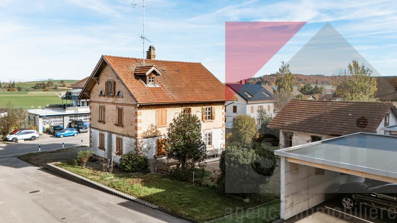 Casa di villaggio di carattere su un lotto di 1005m2 nella zona centrale (3)