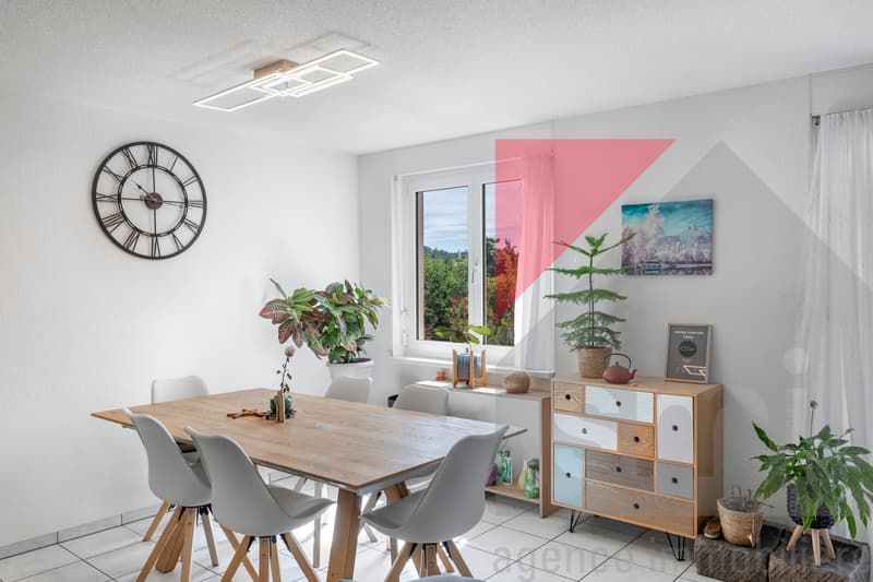 Appartement de 3,5 pièces avec jardin entre Fribourg et Bern (3)