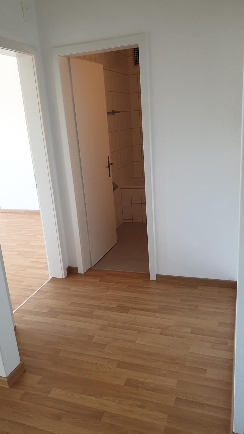 Grosszügige 2.5-Zimmerwohnung direkt an der Igelweid (6)