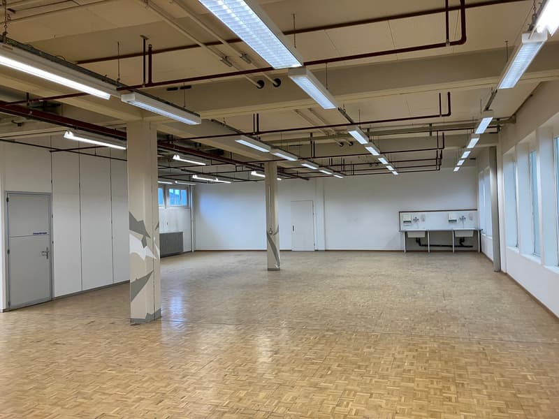 Ampio spazio commerciale per uso temporaneo (2)