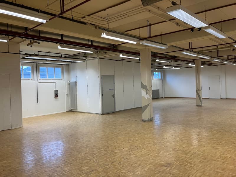 Ampio spazio commerciale per uso temporaneo (3)