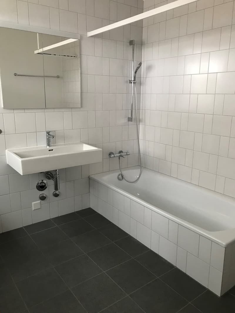 3-5 camere con cabina armadio/ufficio a Breitsch (5)