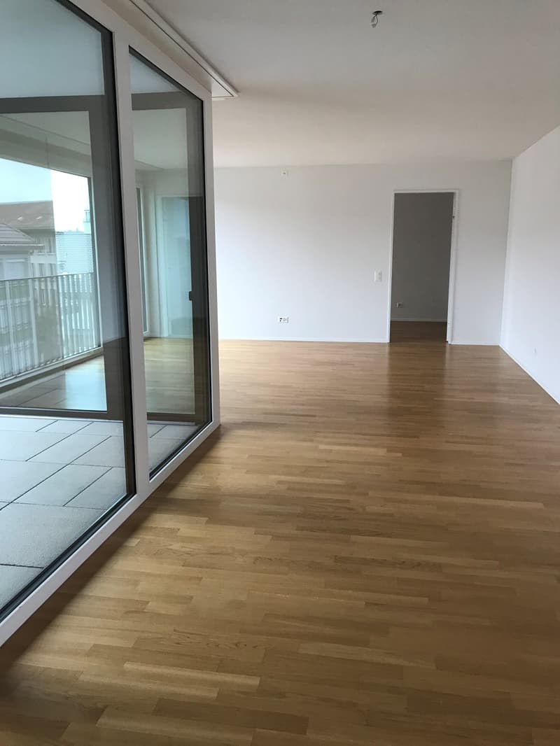 3-5 camere con cabina armadio/ufficio a Breitsch (8)