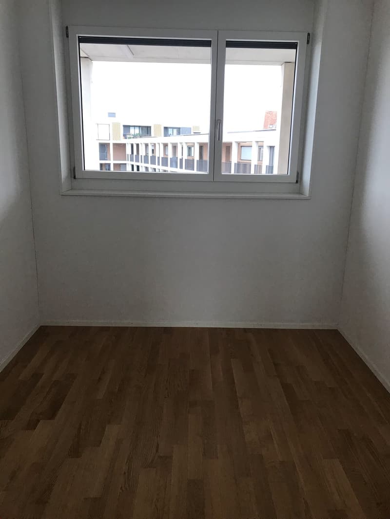 3-5 camere con cabina armadio/ufficio a Breitsch (11)