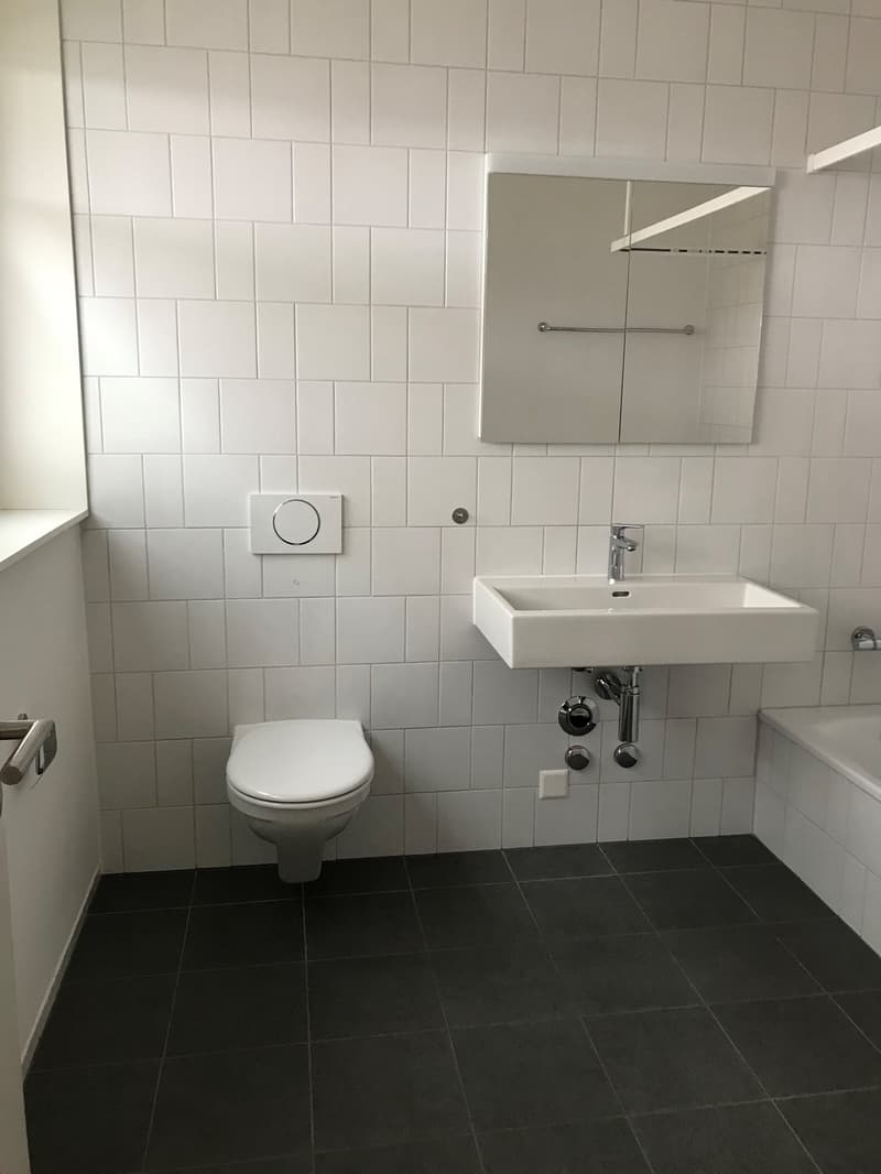 3-5 camere con cabina armadio/ufficio a Breitsch (6)