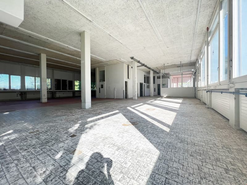 Large open space with concrete floors, white walls, and a high ceiling. The space appears to be a commercial or industrial building, with multiple doors and windows providing natural light.