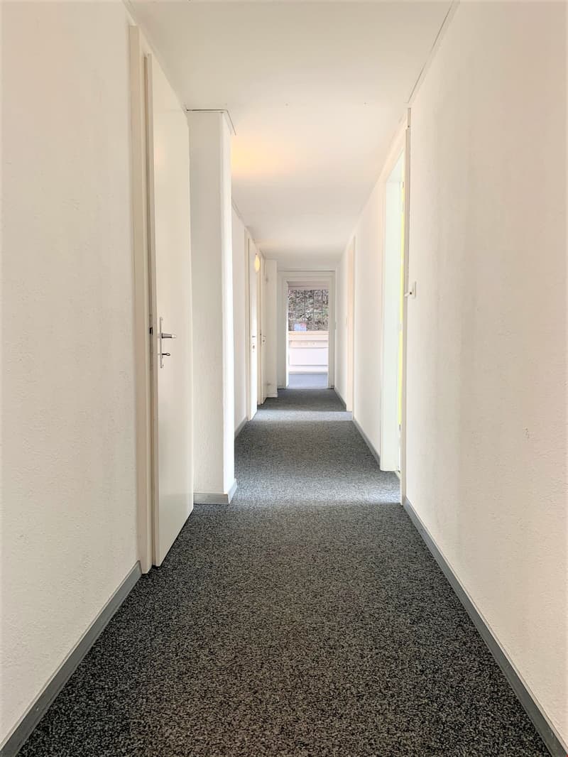 The image shows a long, narrow hallway with white walls and a gray speckled carpet floor. The hallway has multiple doors leading to other rooms, and a window at the end providing natural light.