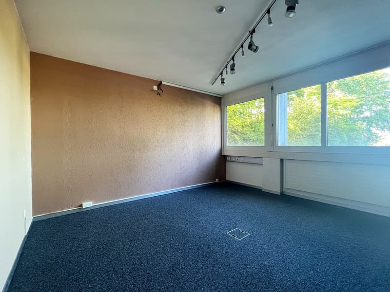 The image shows an empty office space with a large window overlooking a wooded area. The room has beige walls and a blue carpeted floor. There is a track lighting system installed on the ceiling.