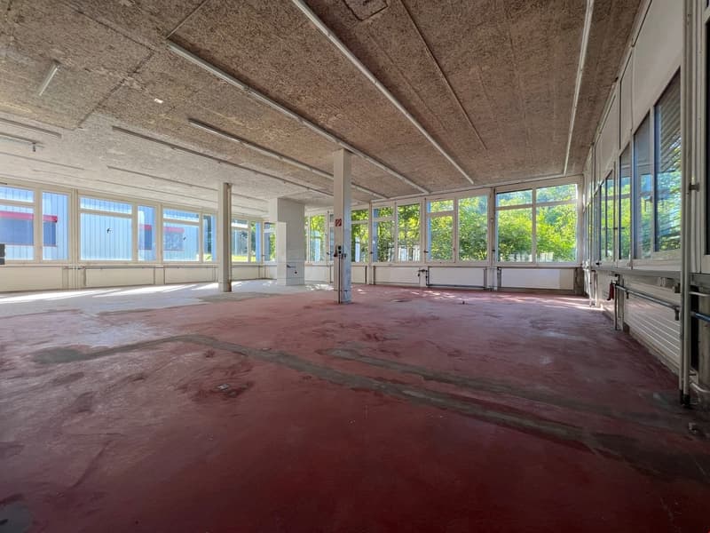 Large open space with high ceilings, exposed beams, and large windows overlooking greenery outside. The floor is a reddish-brown color, and the space appears to be in a state of renovation or construction.