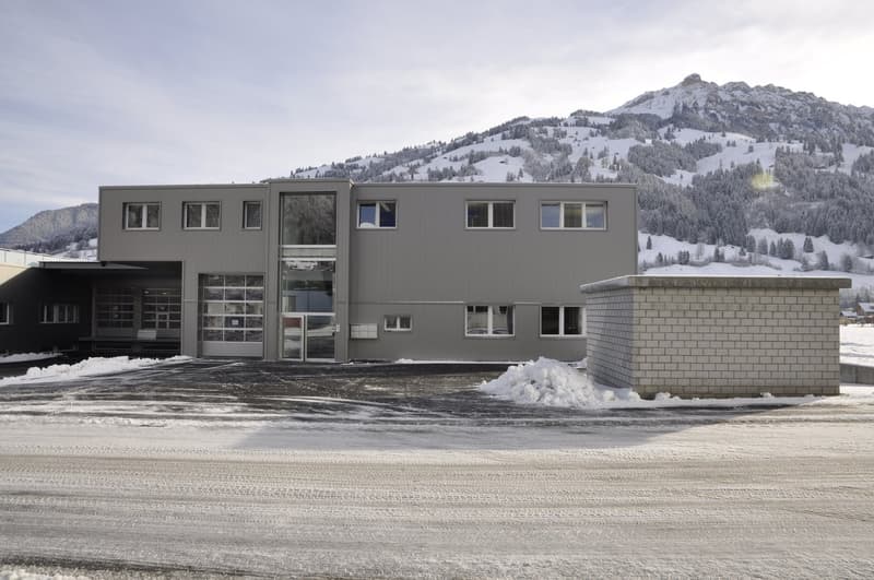 Moderne Büroflächen von 22m2 - 69m2 an zentraler Lage in Frutigen zu vermieten (2)
