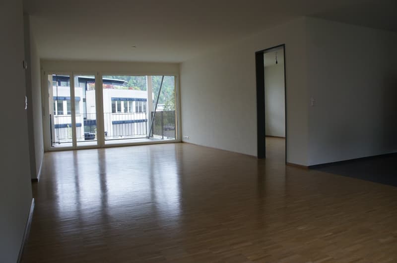 Schöne 4.5-Zimmer-Wohnung im Wohnpark Hansmatt (2)
