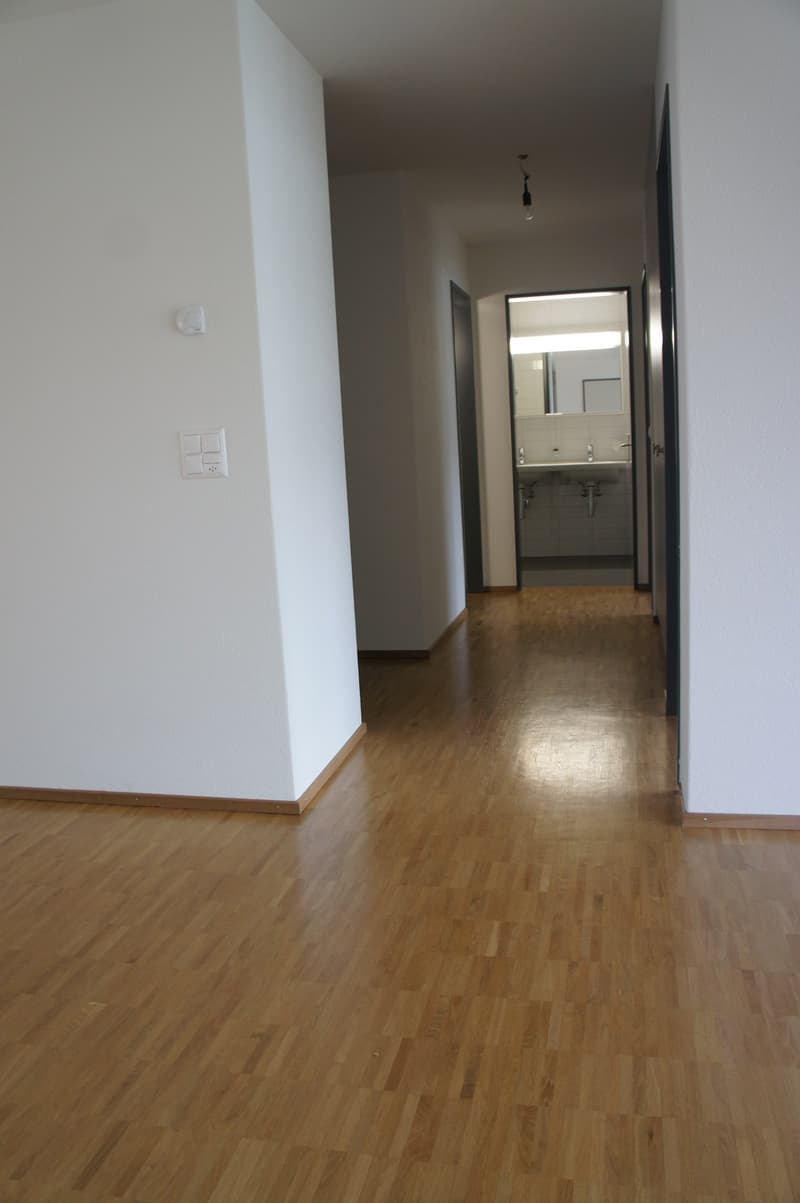 Schöne 4.5-Zimmer-Wohnung im Wohnpark Hansmatt (5)