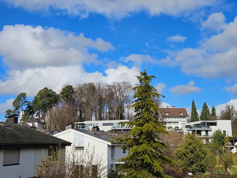 3.5 or 4.5 room row-end single-family house in top condition (108 m2) with large garden complex (17)