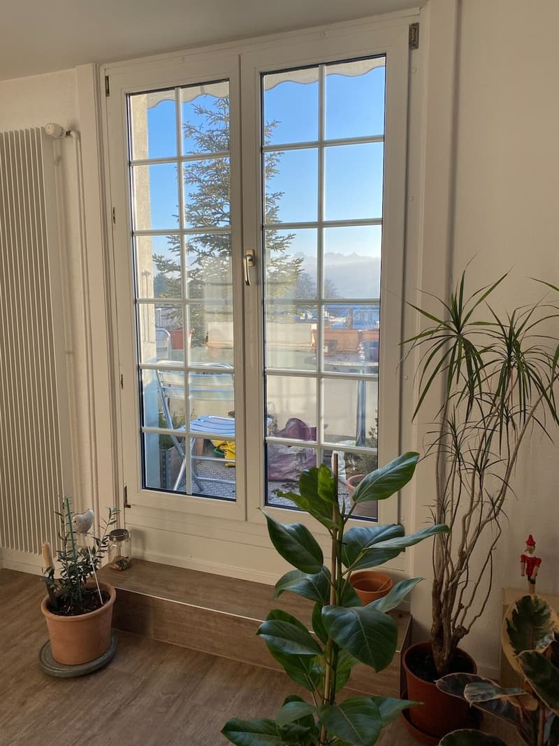Ampio e accogliente appartamento mansardato di 3,5 locali con balcone (11)