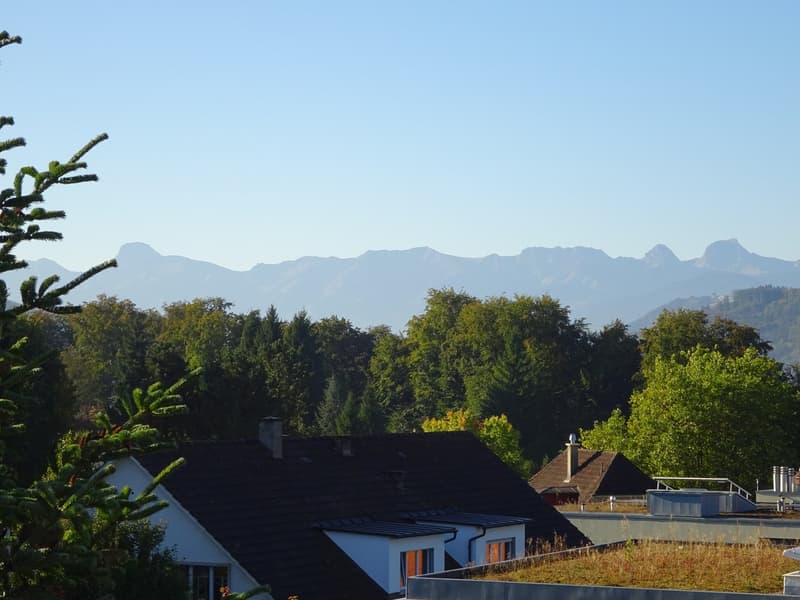 Ampio e accogliente appartamento mansardato di 3,5 locali con balcone (5)