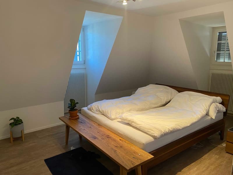 Ampio e accogliente appartamento mansardato di 3,5 locali con balcone (3)