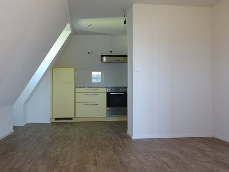 Ampio e accogliente appartamento mansardato di 3,5 locali con balcone (8)