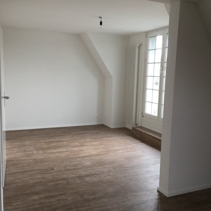 Ampio e accogliente appartamento mansardato di 3,5 locali con balcone (2)