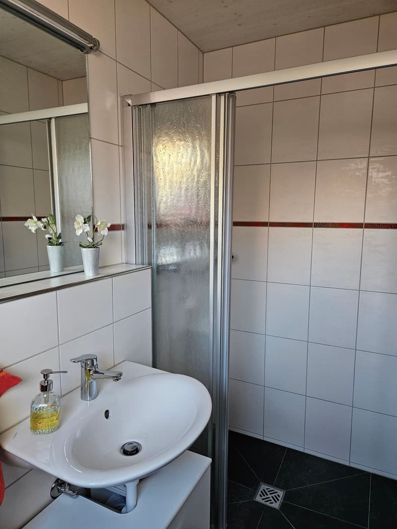 Detached 5 1/2 room single-family house with garage and parking space (12)