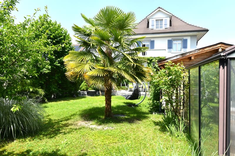 green grass, palm tree, plants, swing, building
