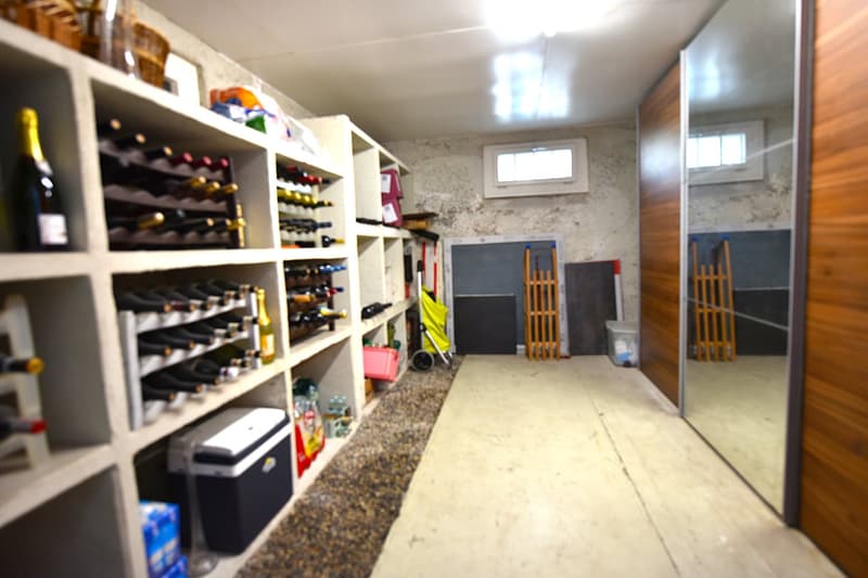 Wine cellar with shelves, storage bins, and a cooler, wooden door