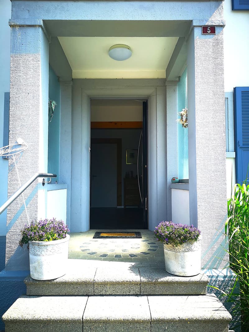 Exterior entrance with concrete steps, decorative ceiling lamp, and decorative potted flowers.